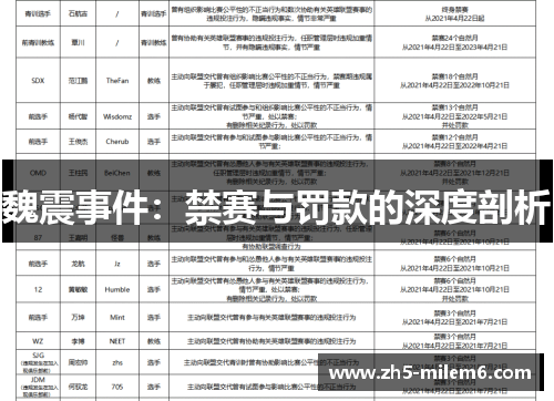 魏震事件：禁赛与罚款的深度剖析